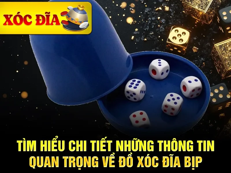 Tìm hiểu chi tiết những thông tin quan trọng về đồ xóc đĩa bịp
