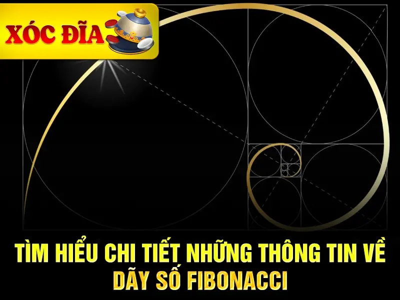 Tìm hiểu chi tiết những thông tin về dãy số Fibonacci