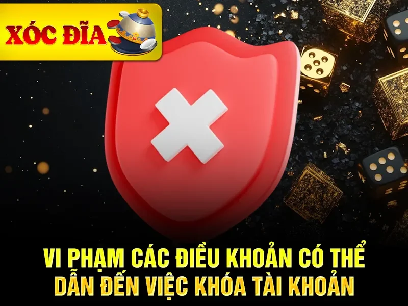 Vi phạm các điều khoản có thể dẫn đến việc khóa tài khoản
