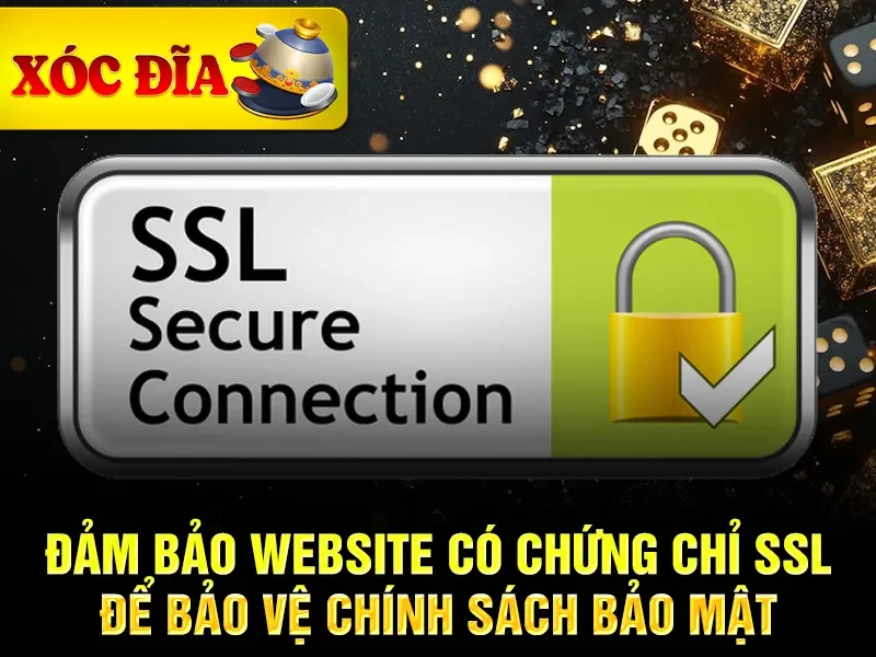 Đảm bảo website có chứng chỉ SSL để bảo vệ chính sách bảo mật