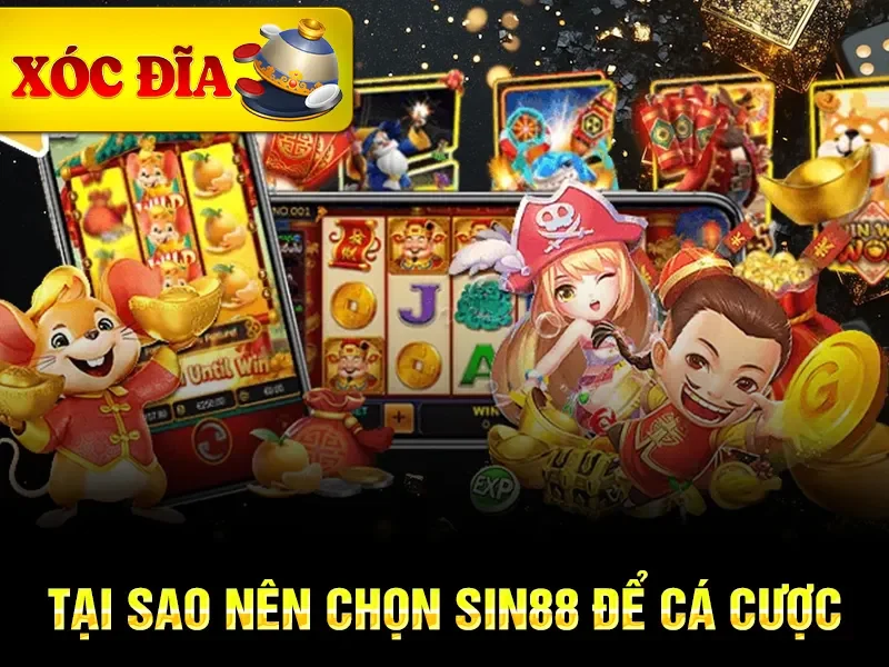 Tại sao nên chọn Sin88 để cá cược